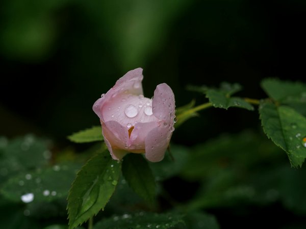 Quais são os benefícios de ter uma piscina de borda infinita?
